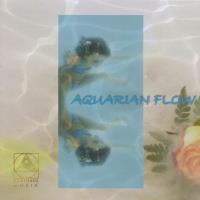 Aquarian Flow - Peace Pool Project [CD] Bollmann, Christian