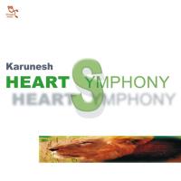 Heart Symphony [CD] Karunesh