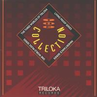 The Collection [CD] Sampler: Triloka