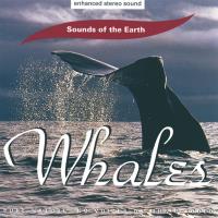 Whales [CD] Sounds of the Earth - David Sun