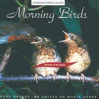 Morning Birds [CD] Sounds of the Earth - David Sun