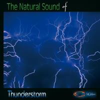 The Nature Sounds of THUNDERSTORM [CD] Goodall, Medwyn