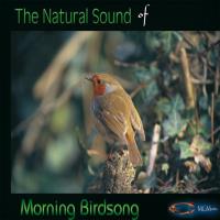 The Nature Sounds of MORNING BIRDS [CD] Goodall, Medwyn