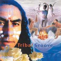Tribal Groove [CD] V. A. (Music Mosaic Collection)