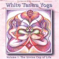 White Tantra Yoga Vol. 1 - Divine Cup of Life [CD] V. A. (YogiPress)