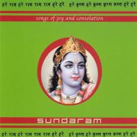 Songs of Joy and Consolation [CD] Sundaram