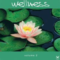 Wellness Vol. 2 [CD] V. A. (Wellness Music)