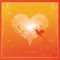 Nectar of the Name [CD] Sat Purkh