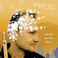 Where Spirits Live [CD] Praful Mystik