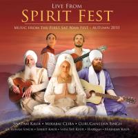 Live from Spirit Fest [CD] V. A. (Spirit Voyage)