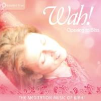 Opening to Bliss - The Meditation Music of Wah! [CD] Wah!