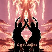 GrooVitalize [CD] V. A. (Music Mosaic Collection)