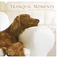 Tranquil Moments [CD] Somerset Series