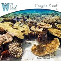 Fragile Reef [CD] Lovelock, Simon