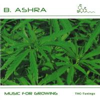 Music for Growing [CD] B. Ashra
