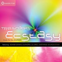 Trip Tracks - Ecstasy [CD] V. A. (Sounds True)