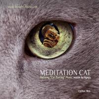 Meditation Cat (SchnurrMusik) [CD] Agnya