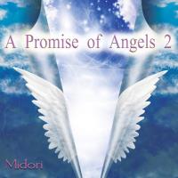 A Promise of Angels Vol. 2 [CD] Midori