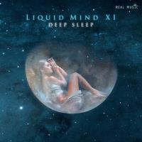Deep Sleep [CD] Liquid Mind XI