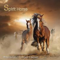 Spirit Horse [CD] V.A. (MG Music)