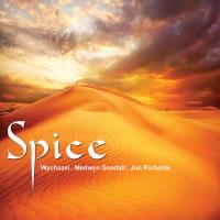Spice [CD] V. A. (MG Music)
