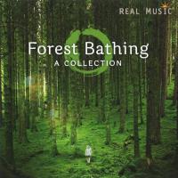 Forest Bathing - A Collection [CD] V. A. (Real Music)