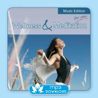 Wellness & Meditation [mp3 Download] Stein, Arnd