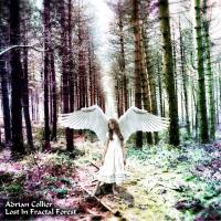 Lost in Fractal Forest [CD] Collier, Adrian