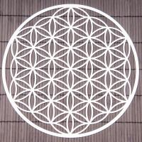 Flower of Life 25 cm Wall decoration made of stainless steel