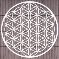 Flower of Life 18 cm Stainless steel wall decoration with crystals