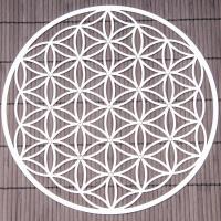 Flower of Life 24,5 cm Stainless steel wall decoration with crystals