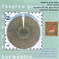 Prayers to the Protector [CD] Roach, Steve & Thupten N. Pema Lama