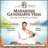 Midday Melody Vol.16/3 für Freude 10-13 Uhr [CD] Chaurasia, Hari Prasad