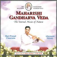 Afternoon Melody Vol.9/4 für Wohlstand 13-16 Uhr [CD] Chaurasia, Hari Prasad