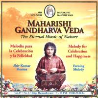 Evening Melody Vol. 17/6 für Fest u. Frohsinn [CD] Shiv Kumar Sharma