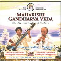 Raga Bhairavi Vol. 12/1 [CD] Chaudhuri, D & Lal, Anant