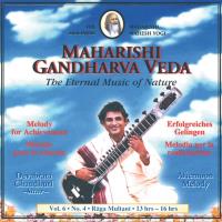 Afternoon Melody Vol. 6/4 für erfolg. Gelingen 13-16 Uhr [CD] Chaudhuri, Devabrata