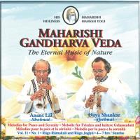 Sunrise Vol. 11/1 für Friede u. Gelassenheit 4-7 Uhr [CD] Lal, Anant & Shankar, Daya