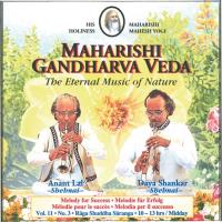 Midday Vol. 11/3 für Erfolg 10-13 Uhr [CD] Lal, Anant & Shankar, Daya