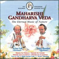 Morning Vol. 11/2 für Geduld 7-10 Uhr [CD] Lal, Anant & Shankar, Daya