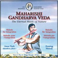 Evening Melody für Integration Vol. 3/6 [CD] Nath, Amar