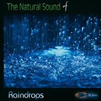 The Nature Sounds of RAINDROPS [CD] Goodall, Medwyn