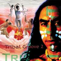 Tribal Groove Vol. 2 [CD] V. A. (Music Mosaic Collection)