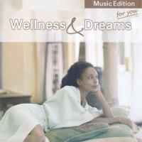 Wellness & Dreams [CD] Stein, Arnd
