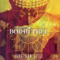Under the Bodhi Tree [CD] Still, Jonathan