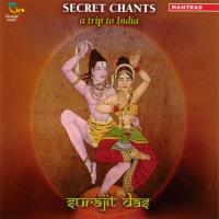 Secret Chants - A Trip to India [CD] Surajit Das