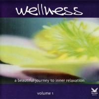 Wellness Vol. 1 [CD] V. A. (Wellness Music)
