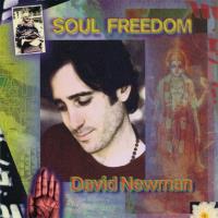 Soul Freedom [CD] Newman, David (Durga Das)