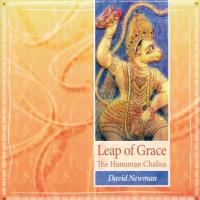 Leap of Grace - The Hanuman Chalisa [CD] Newman, David (Durga Das)