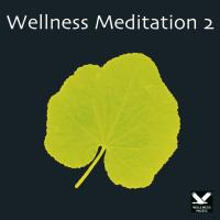 Wellness Meditation Vol. 2 [CD] V. A. (Wellness Music)